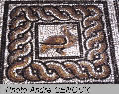 ARBIN beautiful gallo roman mosaics II° century